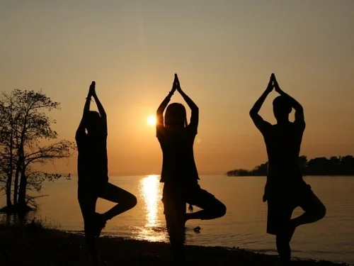 Ücretsiz Doğum Haritası Analizi